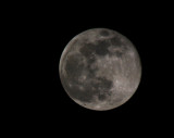 Huntsville Full Moon.jpg