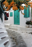 alley with orange flowers