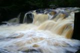 Falls Creek #1