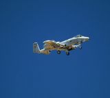A10 Warthog #2