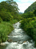 Boquete River