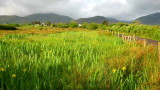 Early morning scene on the Dingle Peninsula