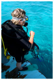Journe plong  Hurghada