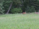 Upper Penninsula Michigan_0027.JPG