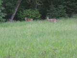 Upper Penninsula Michigan_0028.JPG