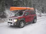 Snowy Day in Yellowstone 068.jpg