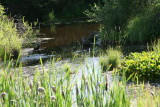 Pond near Mameo