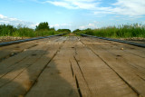 Tracks