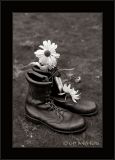 Combat Boots With Daisy