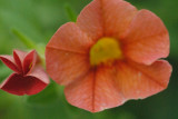 DSC_2039.JPG