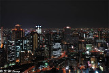 Night Scene from Umeda Sky Building DSC_7568