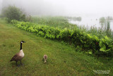 20080628_3267_800.jpg