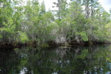DSC_0867.JPG