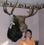 Taxidermists keep busy in Idaho and Montana. This is in my Cambridge hotel, pre-trip.