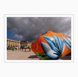 Mushrooms on Praca do Comercio 14