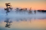 Mist On Lake Martin 26109