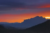 Sonoran Desert At Dawn 81644