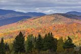 Laurentian Mountains 42343