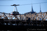 DSC_6973.jpg