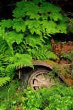 Amalga truck