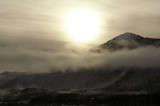 Winter light on Douglas 800-0009.jpg