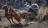 Chuckwagon Race