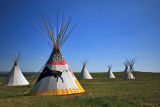 Buffalo Jump II