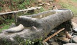 the well in Hejaichak, North Cachar Hills, Assam, India