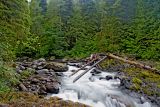 Sol Duc River