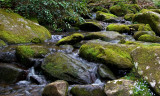 Mountain Stream