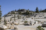 Granite Boulders