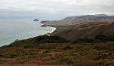Andrew Molera State Park