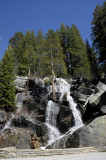 Friday, June 6 - A Waterfall along Tioga Road