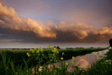 Landscapes: The Netherlands -