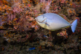 IMG_9999pb.jpg