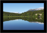 Nearly Perfect Mirror (Pond Next to Lake Bennett)