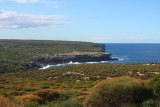 Royal National Park.jpg