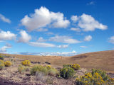 Big skies