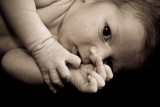 Gavin