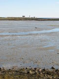 Goat Island Lighthouse 1