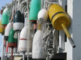 Buoys 3