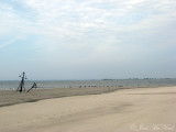 Jekyll Island shipwreck and bird roost