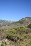 Recent firebreak on Prewitt Ridge