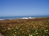 Wide open Pacific Ocean views