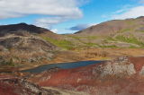 _MG_9809.jpg