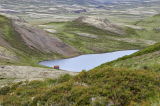 _MG_9817.jpg