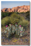 Snow Canyon  7-9-8