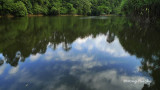 Sepilok - Rainforest Discovery Centre lake