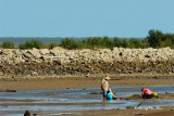 Tawau - Tinaget Beach, limited wintering ground for waders