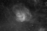 IC410 Nebula with Tadpoles